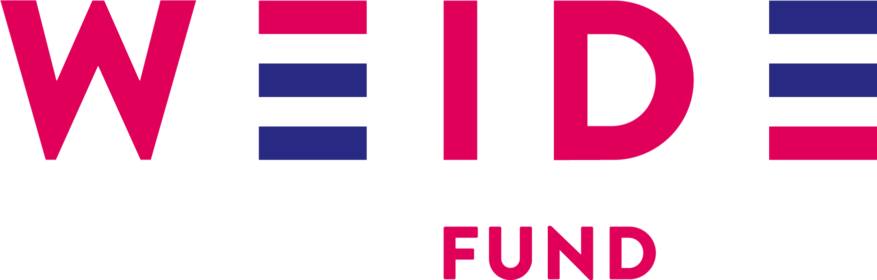 Women Exporters in the Digital Economy Fund